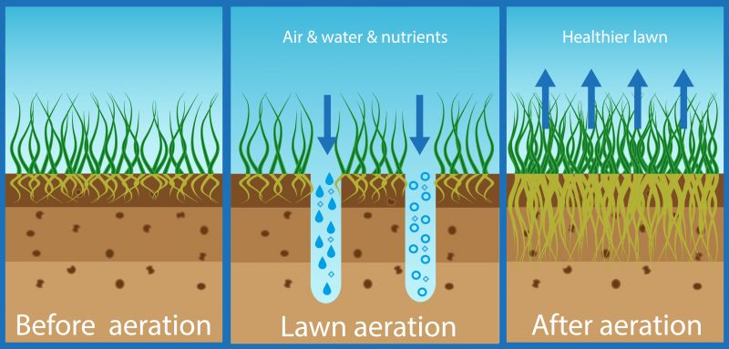 How To Tell When Your Lawn Needs Aeration