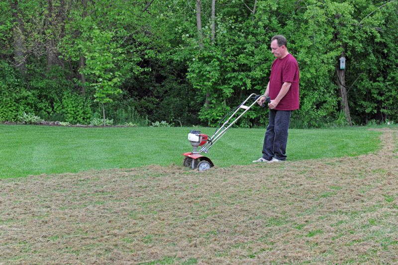 Lawn Dethatching Cost Guide — Cost of Lawn Dethatching Service