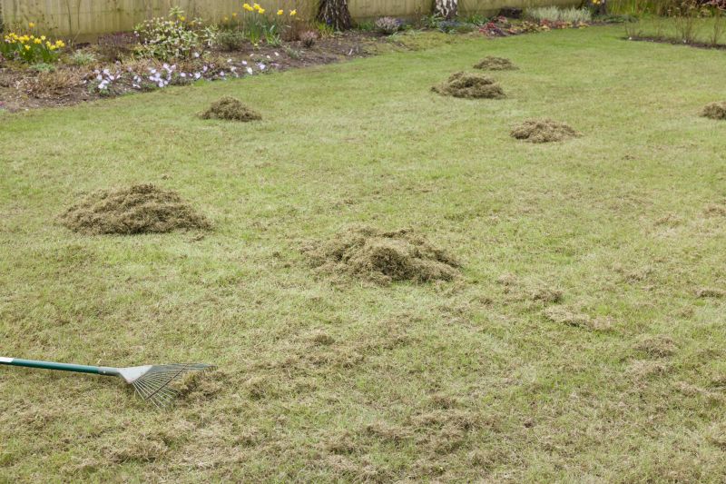 Lawn Dethatching Cost Guide — Cost of Lawn Dethatching Service