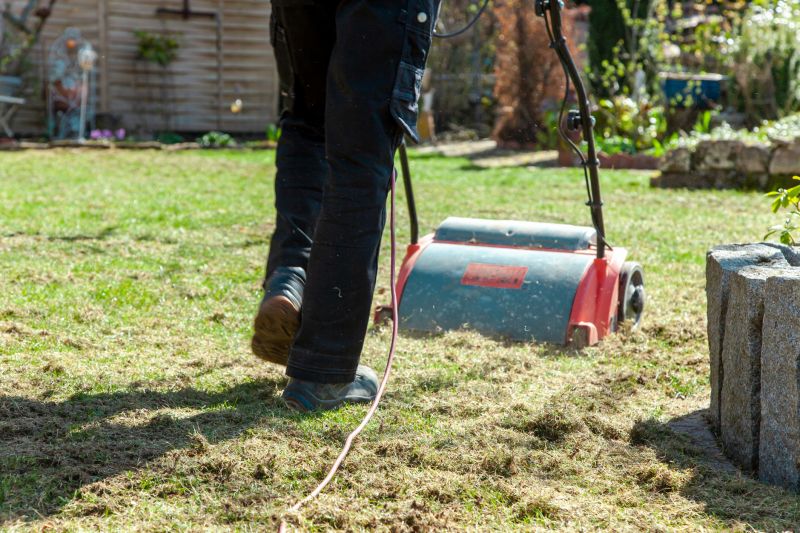 Lawn Dethatching Cost Guide — Cost of Lawn Dethatching Service