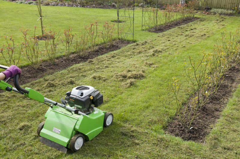 Lawn Dethatching Cost Guide — Cost of Lawn Dethatching Service