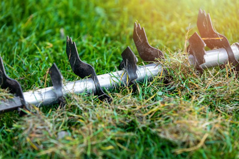 Lawn Maintenance Tools